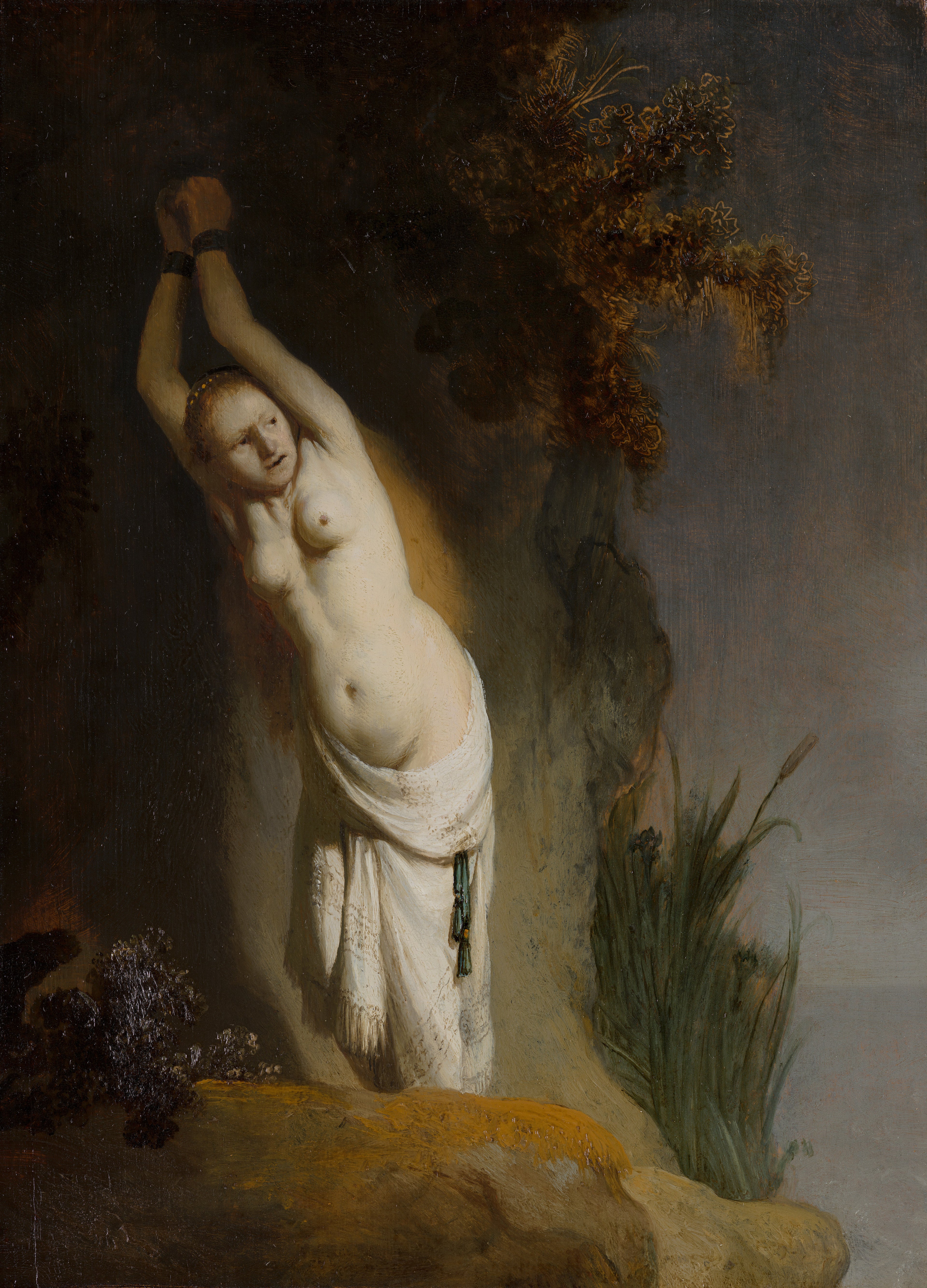 Reproduction du tableau « Andromède enchaînée - Rembrandt » par Alpha Reproduction en peinture à l’huile