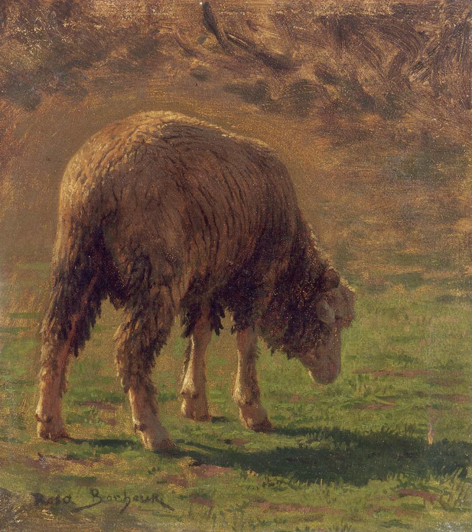 Étude de bélier - Rosa Bonheur