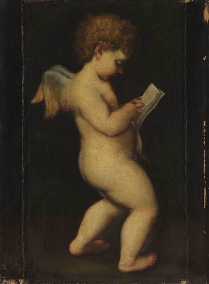 Q29953490 - Antonio da Correggio
