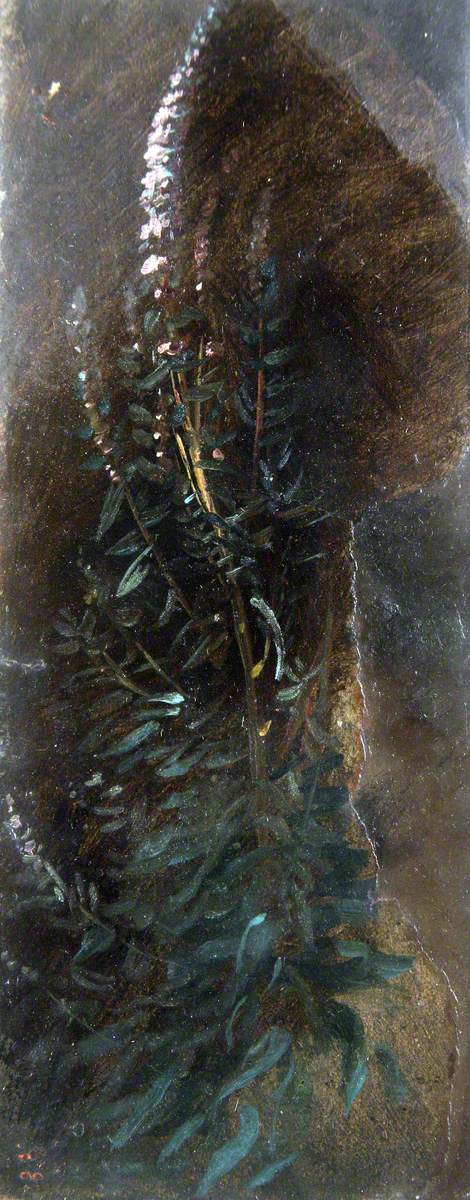 Digitales - John Constable