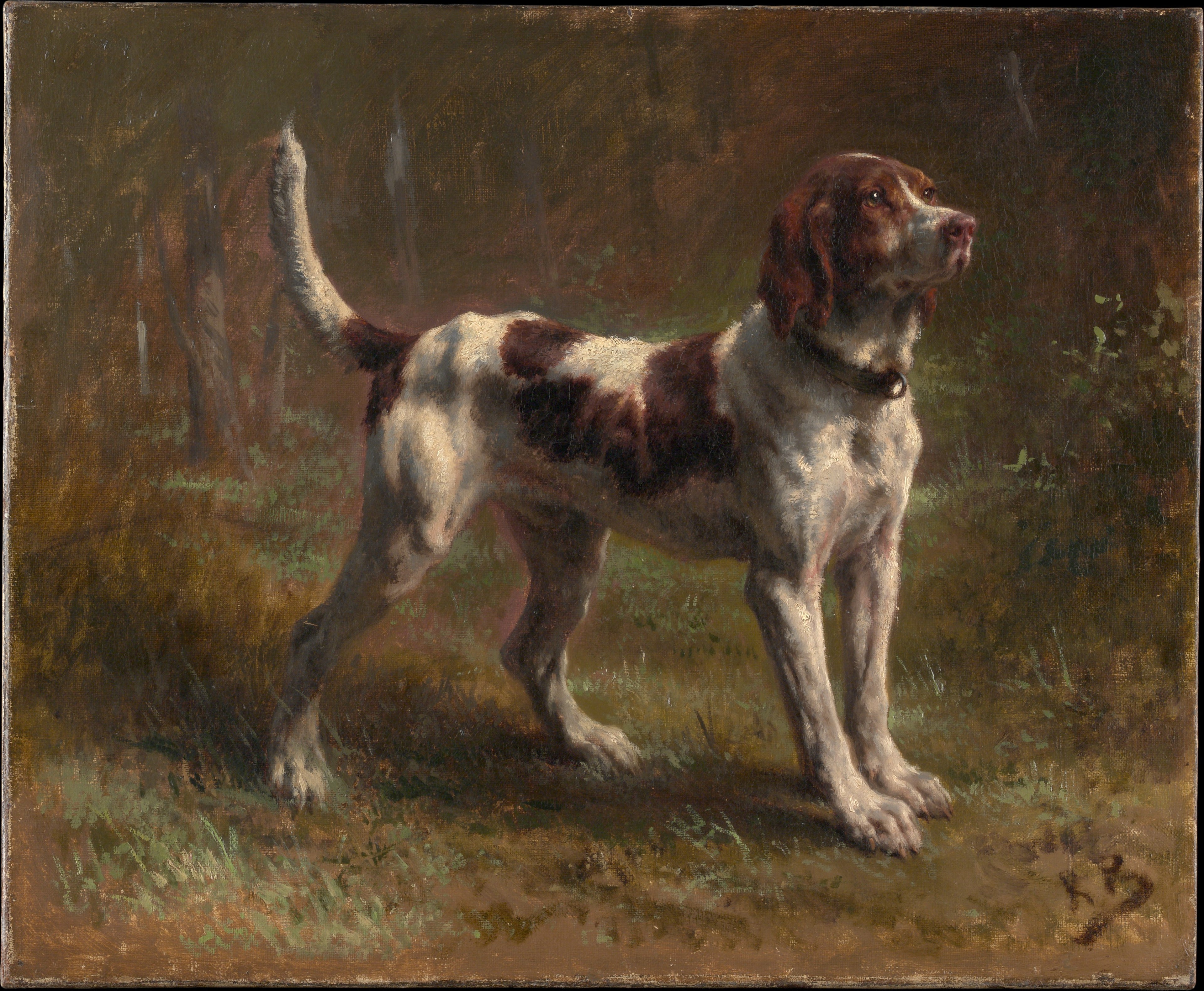 Un Limier Briquet Hound - Rosa Bonheur