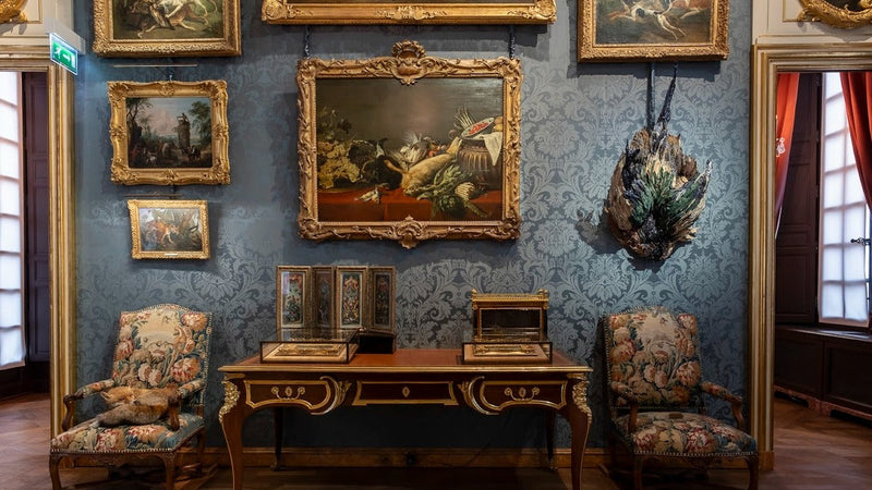 사냥과 자연 박물관