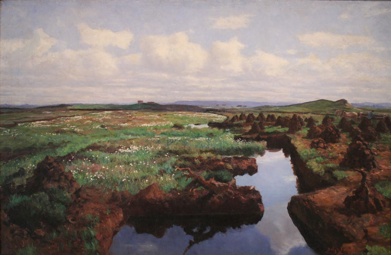 Tourbière à Jæren - Kitty Kielland