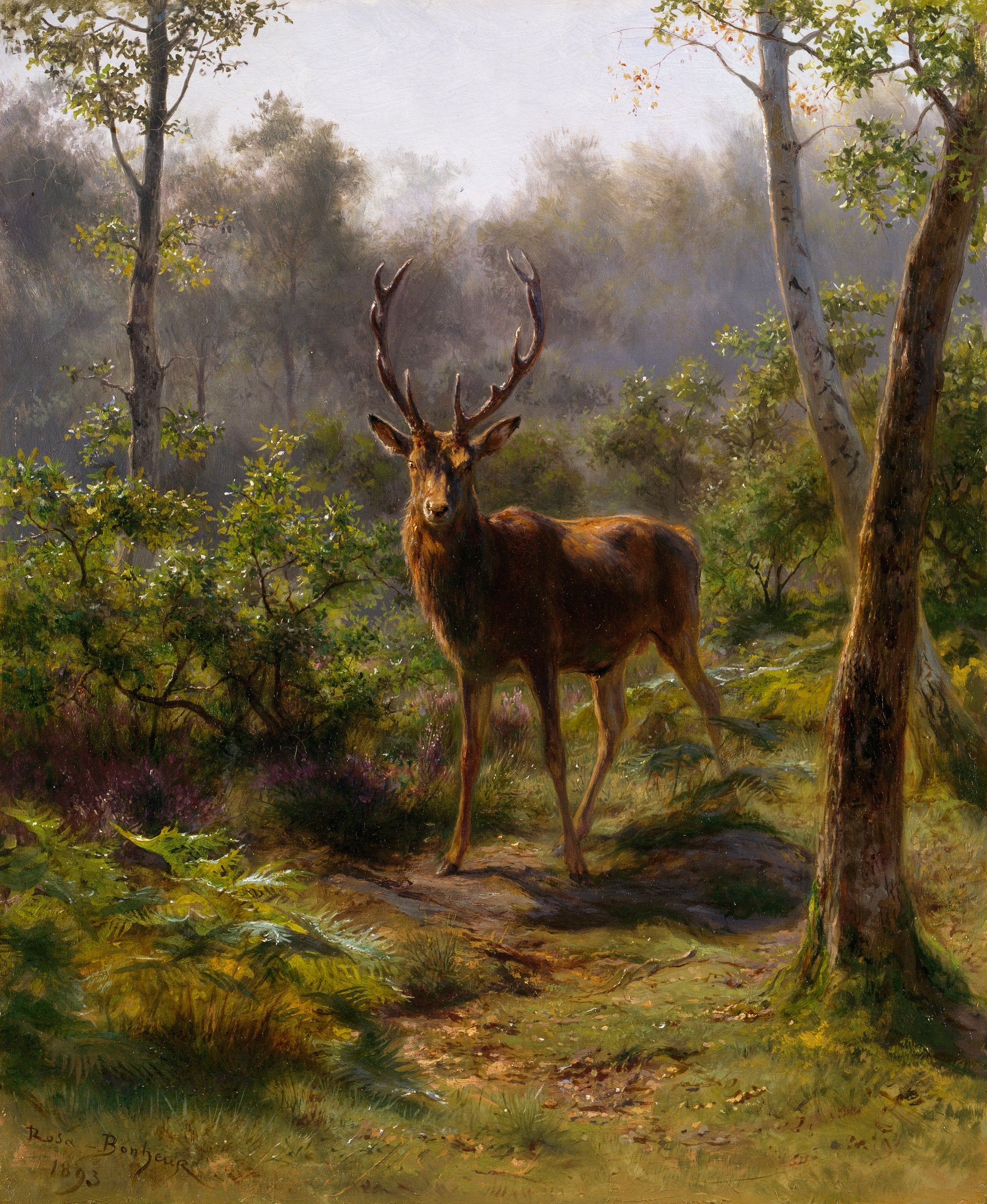 Un cerf - Rosa Bonheur