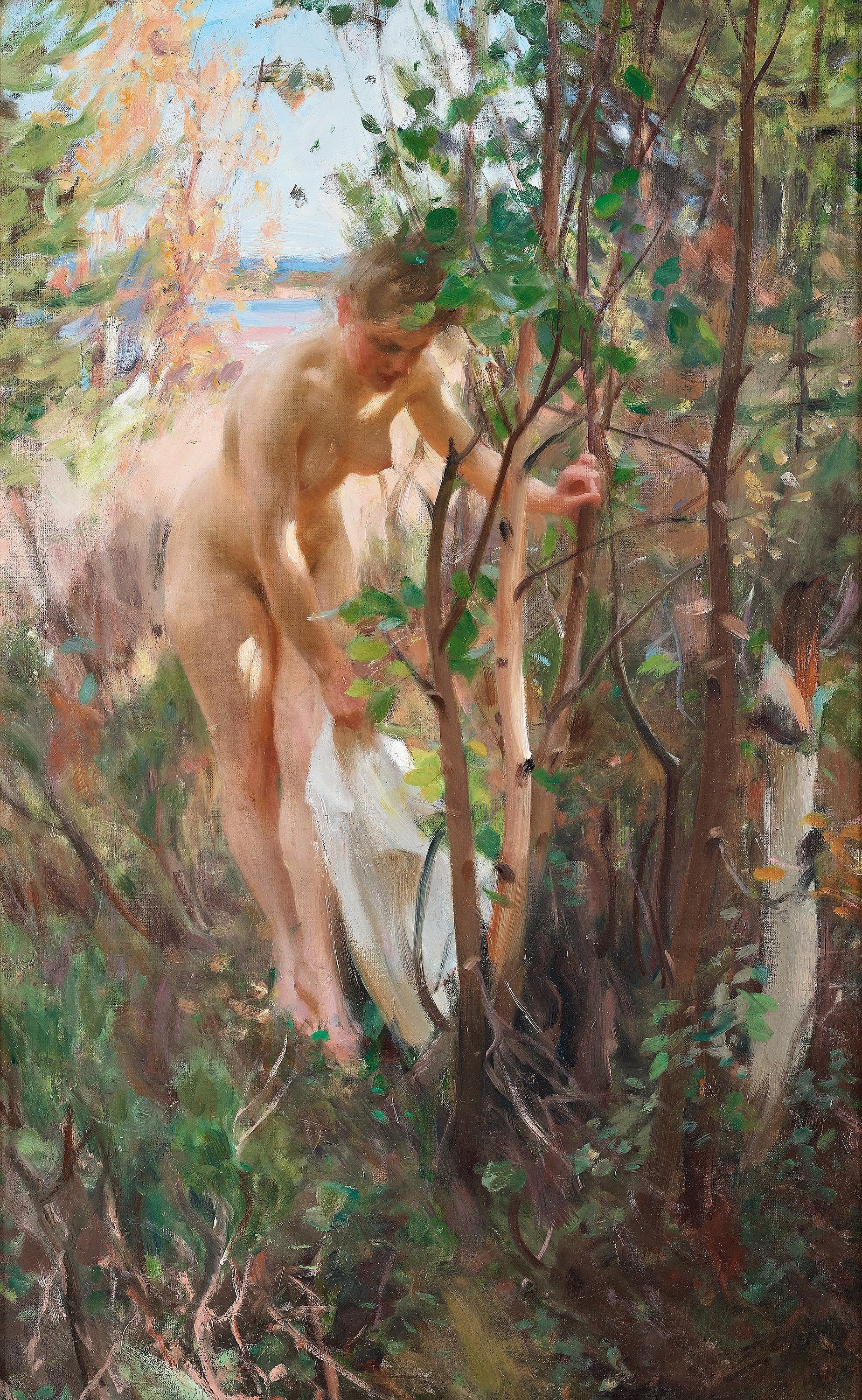 Q125516754 - Anders Zorn