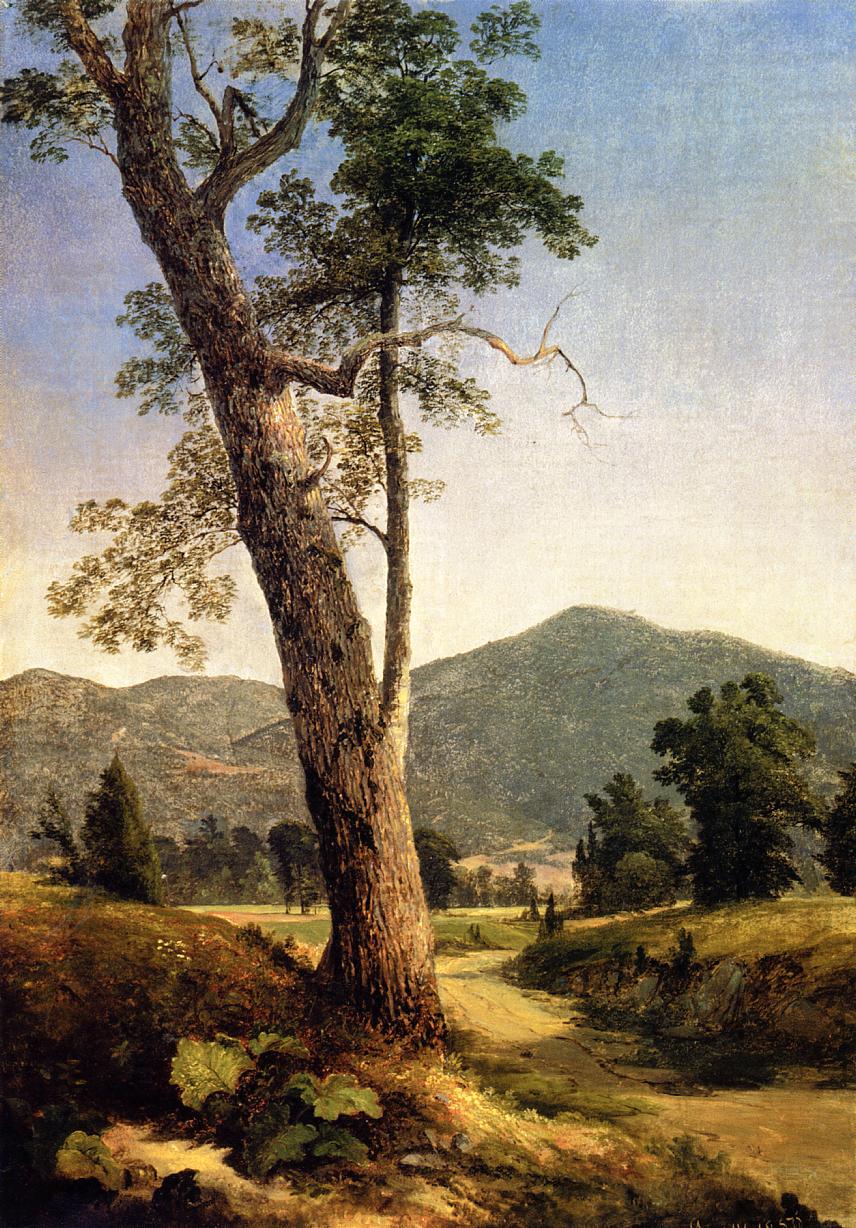 Paysage au-delà de l'arbre - Asher Brown Durand