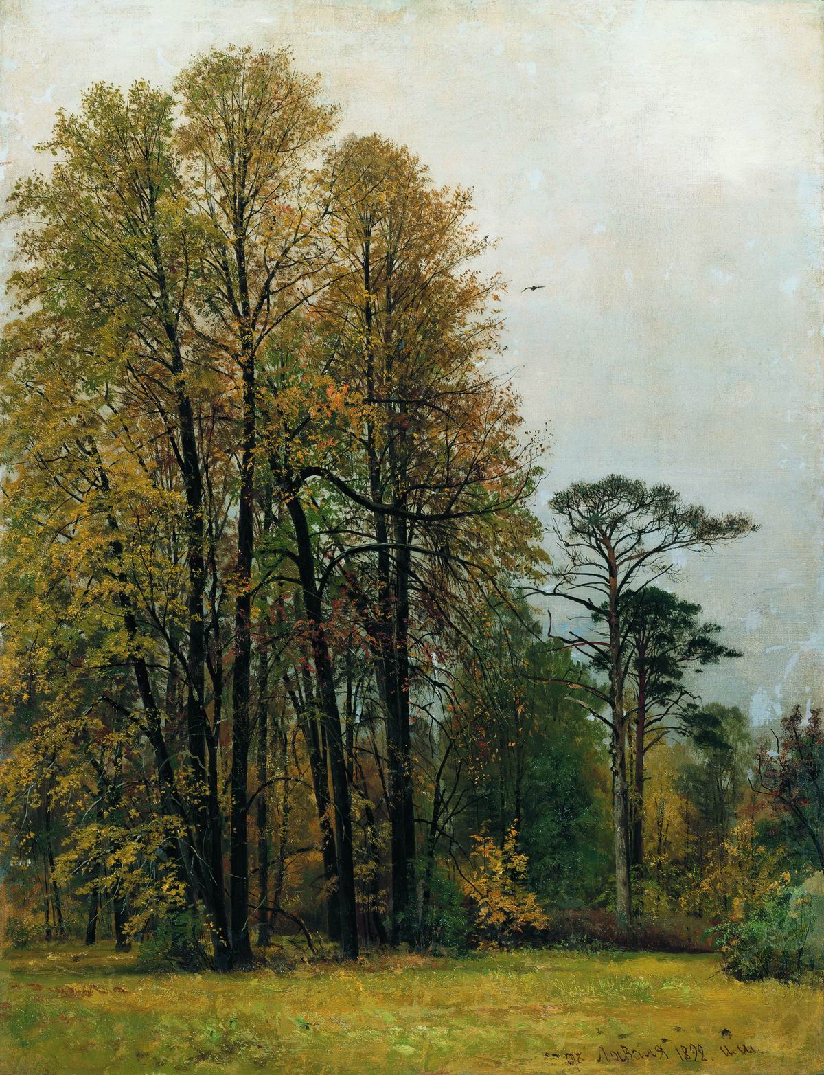 Automne - Ivan Chichkine