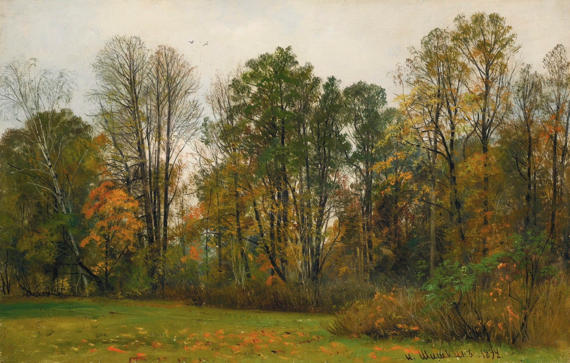 Automne - Ivan Chichkine