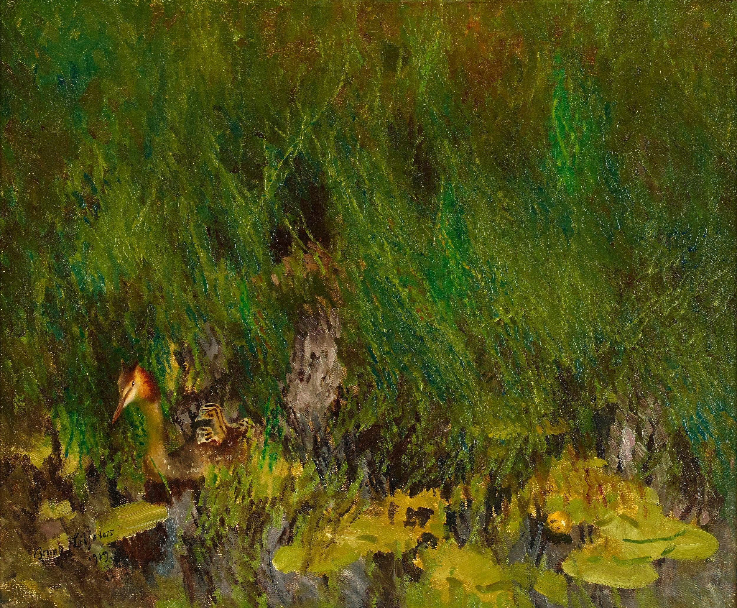 Grèbe huppé - Bruno Liljefors