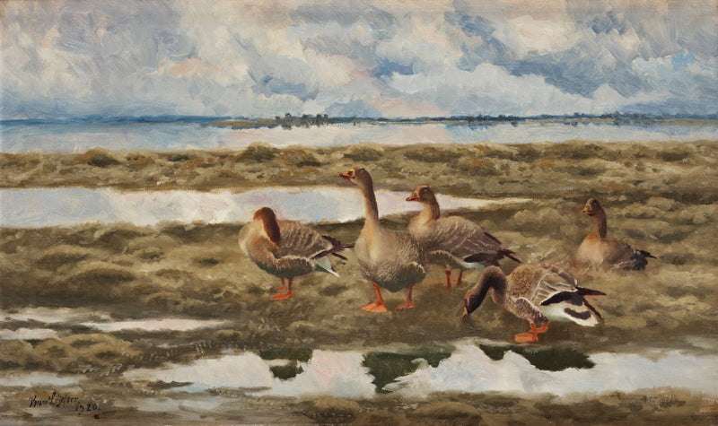 Paysage avec des oies - Bruno Liljefors