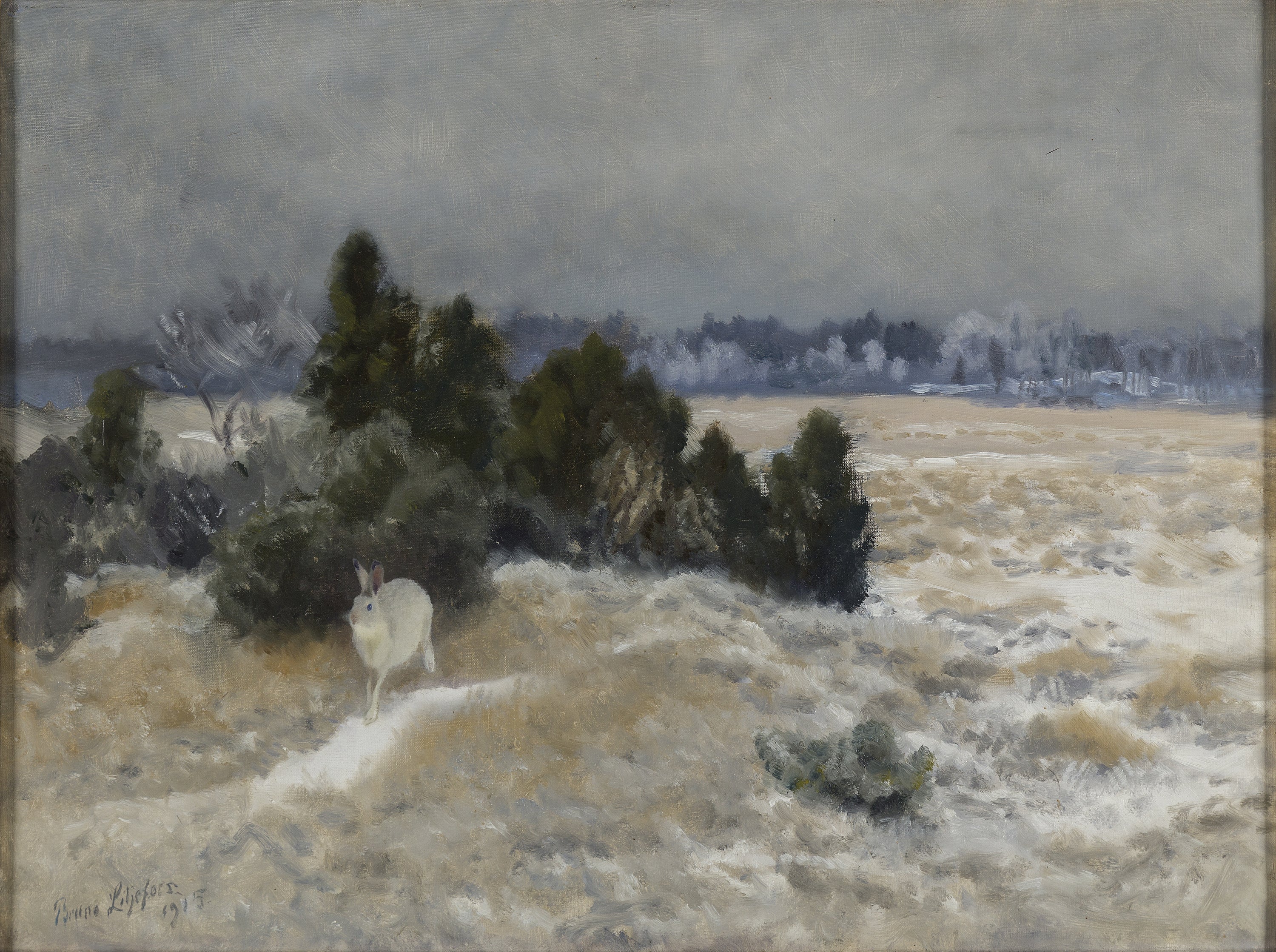 Lièvre d'hiver - Bruno Liljefors