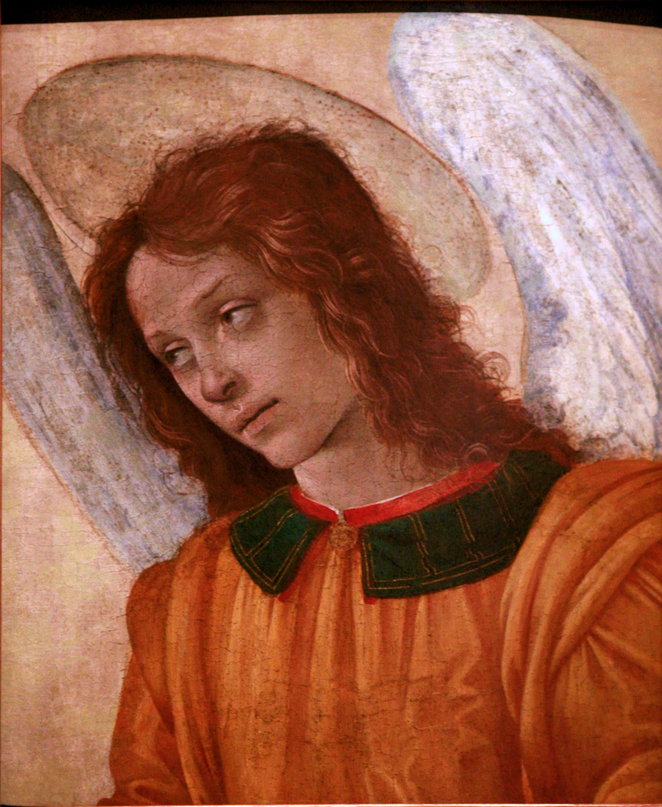 Buste d'ange - Filippino Lippi