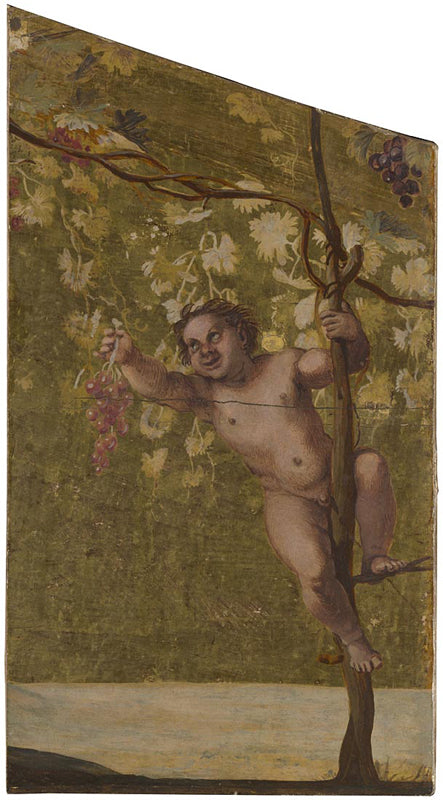 Putto cueillant des raisins - Annibale Carracci