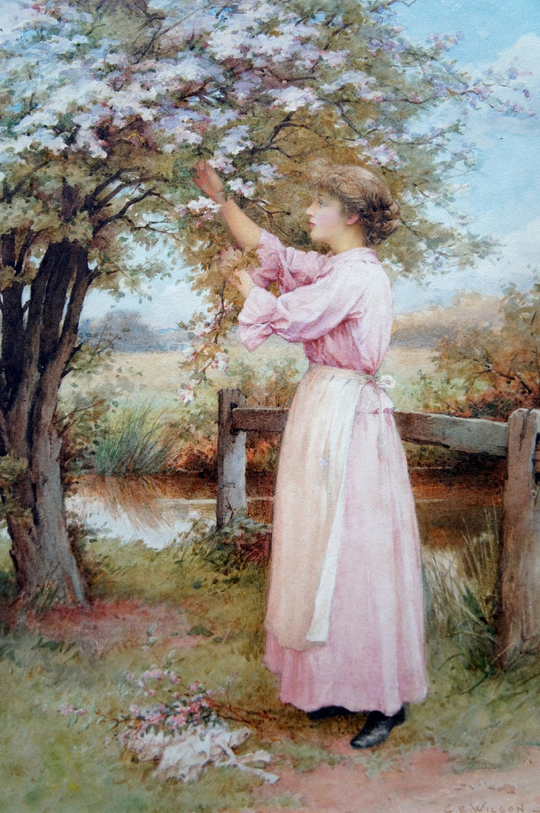 1900c - Apple Blossoms, peinture de Charles Edward Wilson
