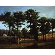 Environs de Ville-d'Avray - Jean-Baptiste Camille Corot