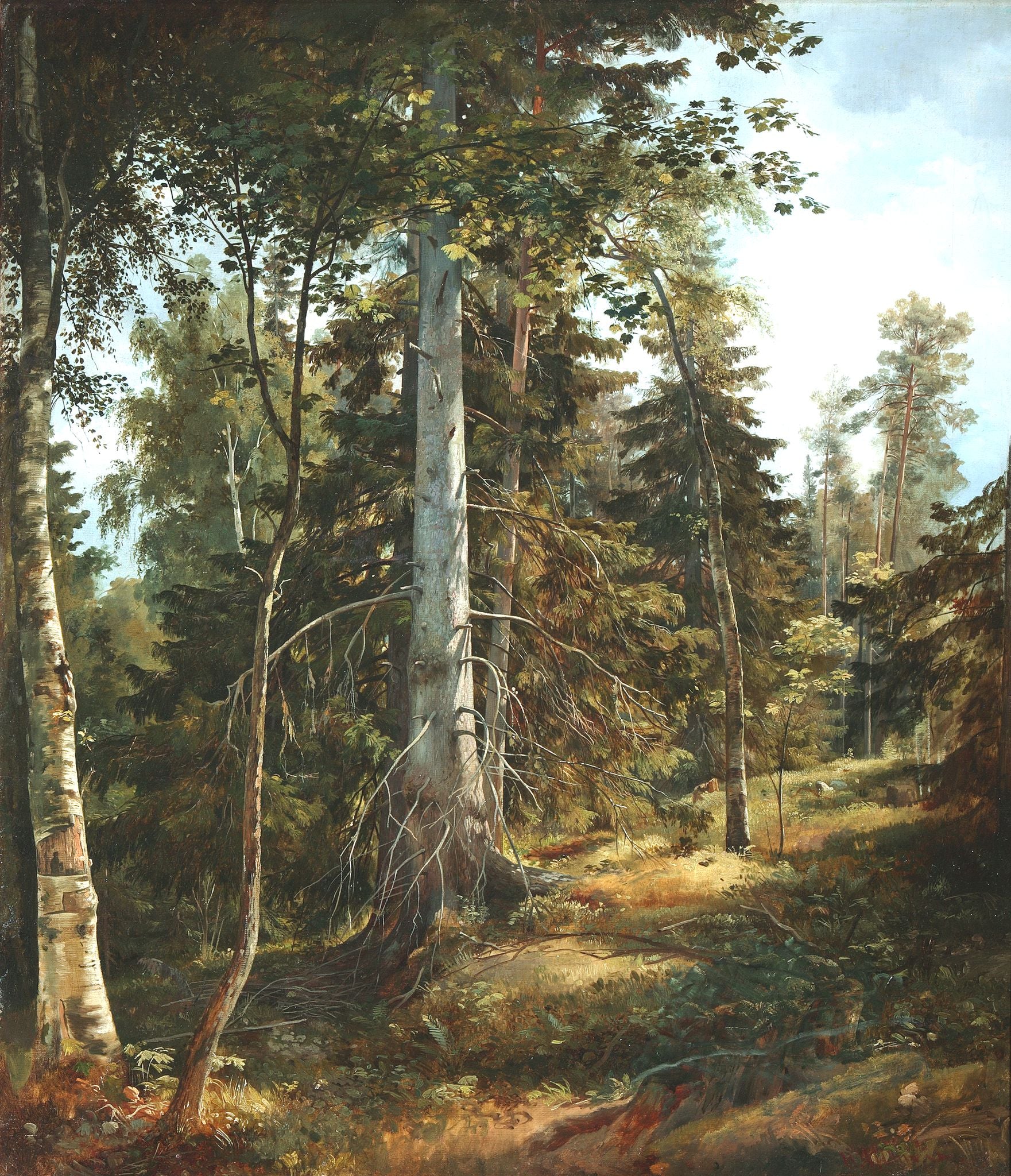 Fourré forestier - Ivan Chichkine