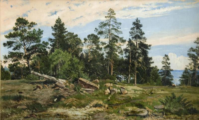 Forêt au bord de la mer - Ivan Chichkine