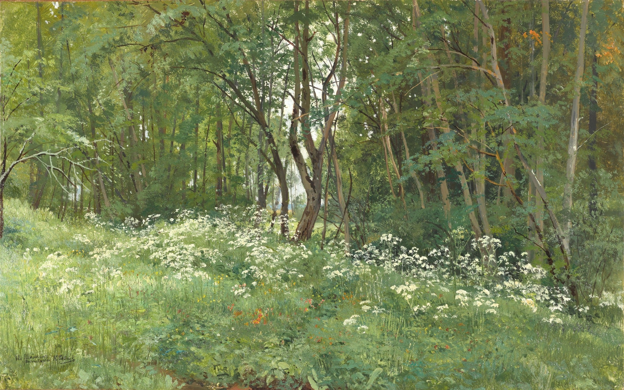Fleurs à la lisière de la forêt - Ivan Chichkine