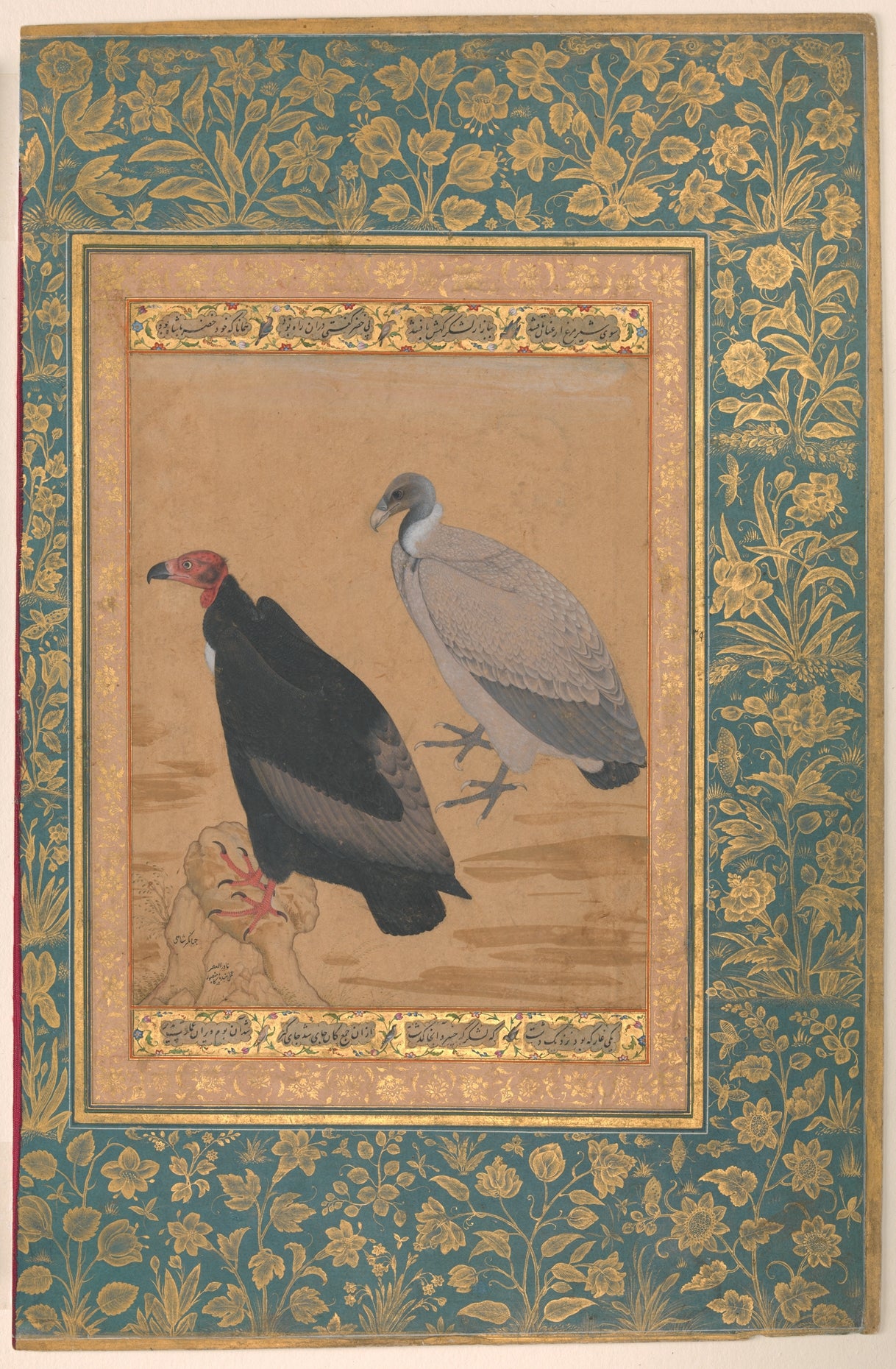 Mansur, "Red-Headed Vulture and Long-Billed Vulture", Folio from the Shah Jahan Album, verso: ca. 1615–20; recto: ca. 1535–45, The Metropolitan Museum of Art, New York