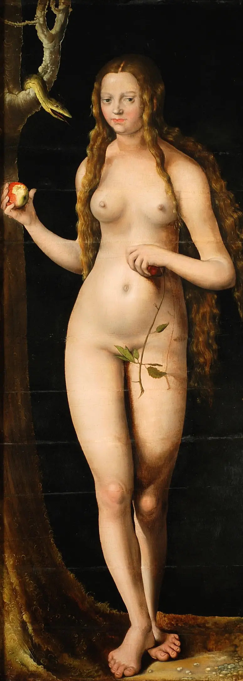 Veille - Lucas Cranach the Elder - Alpha Reproduction