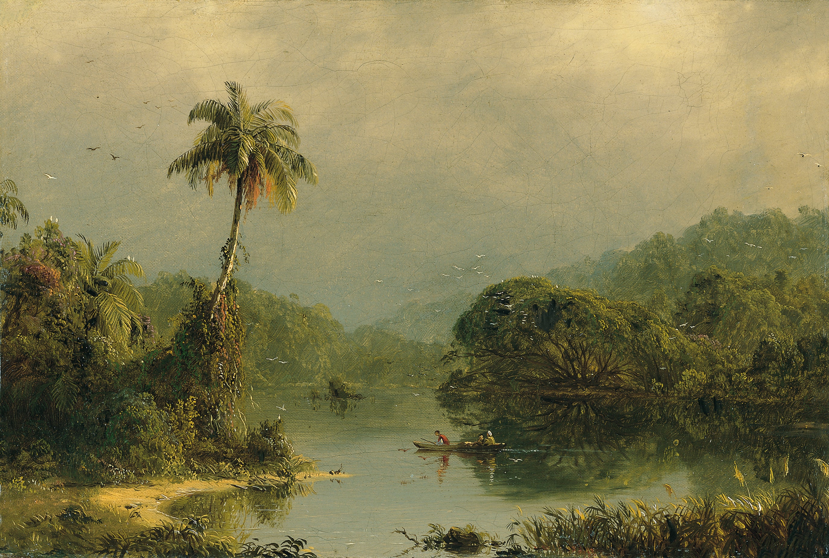 Paysage tropical - Frederic Edwin Church