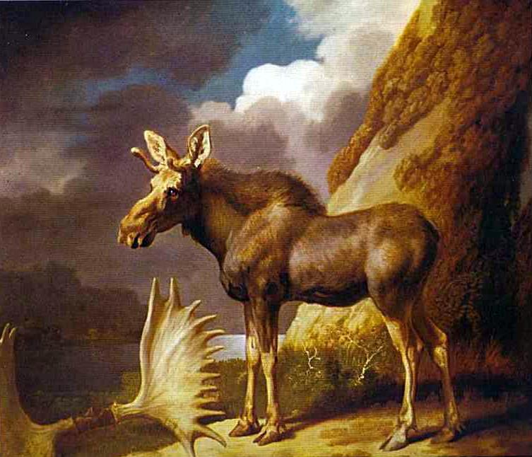 L'élan - George Stubbs