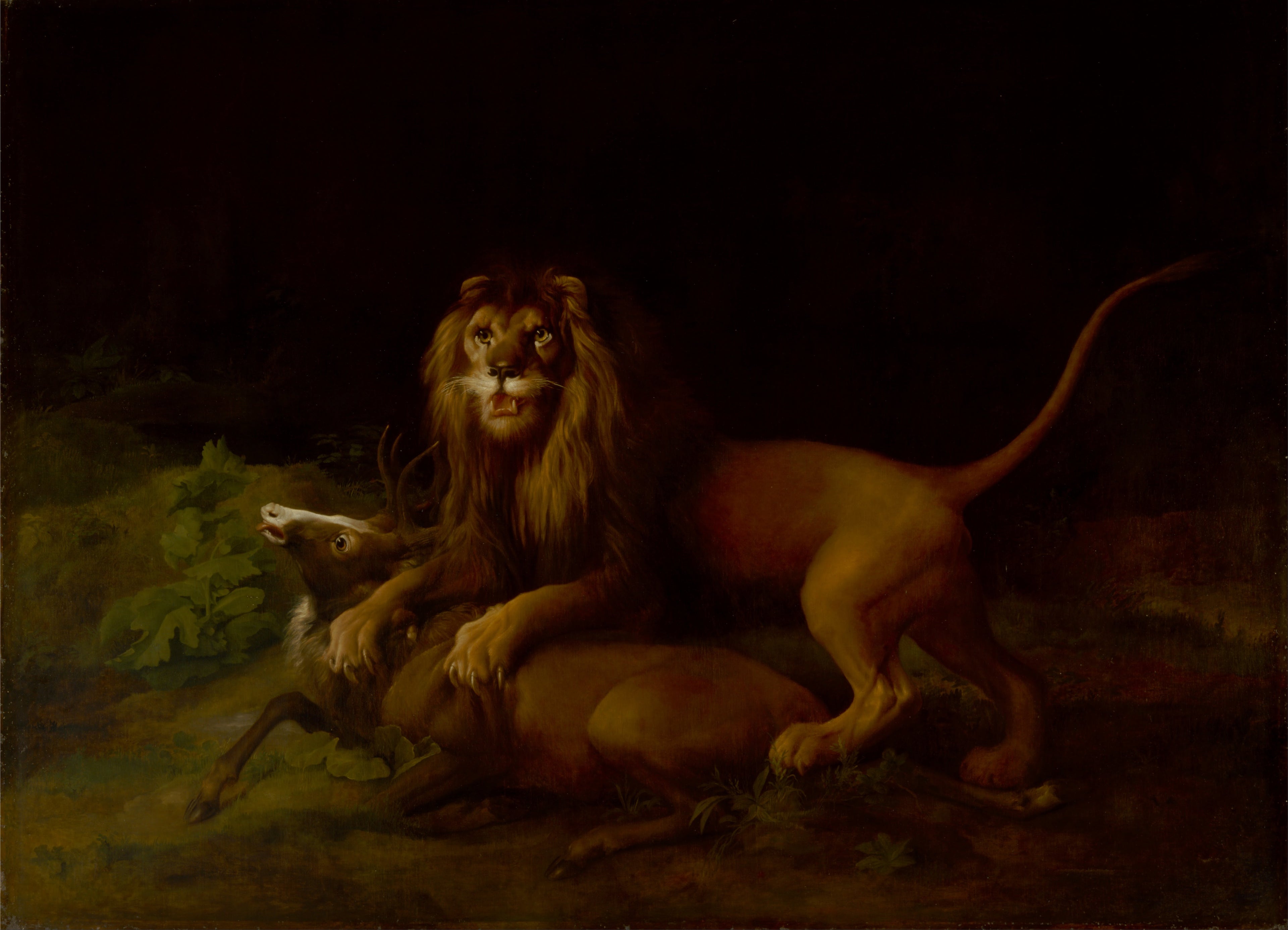 Un lion attaquant un cerf - George Stubbs