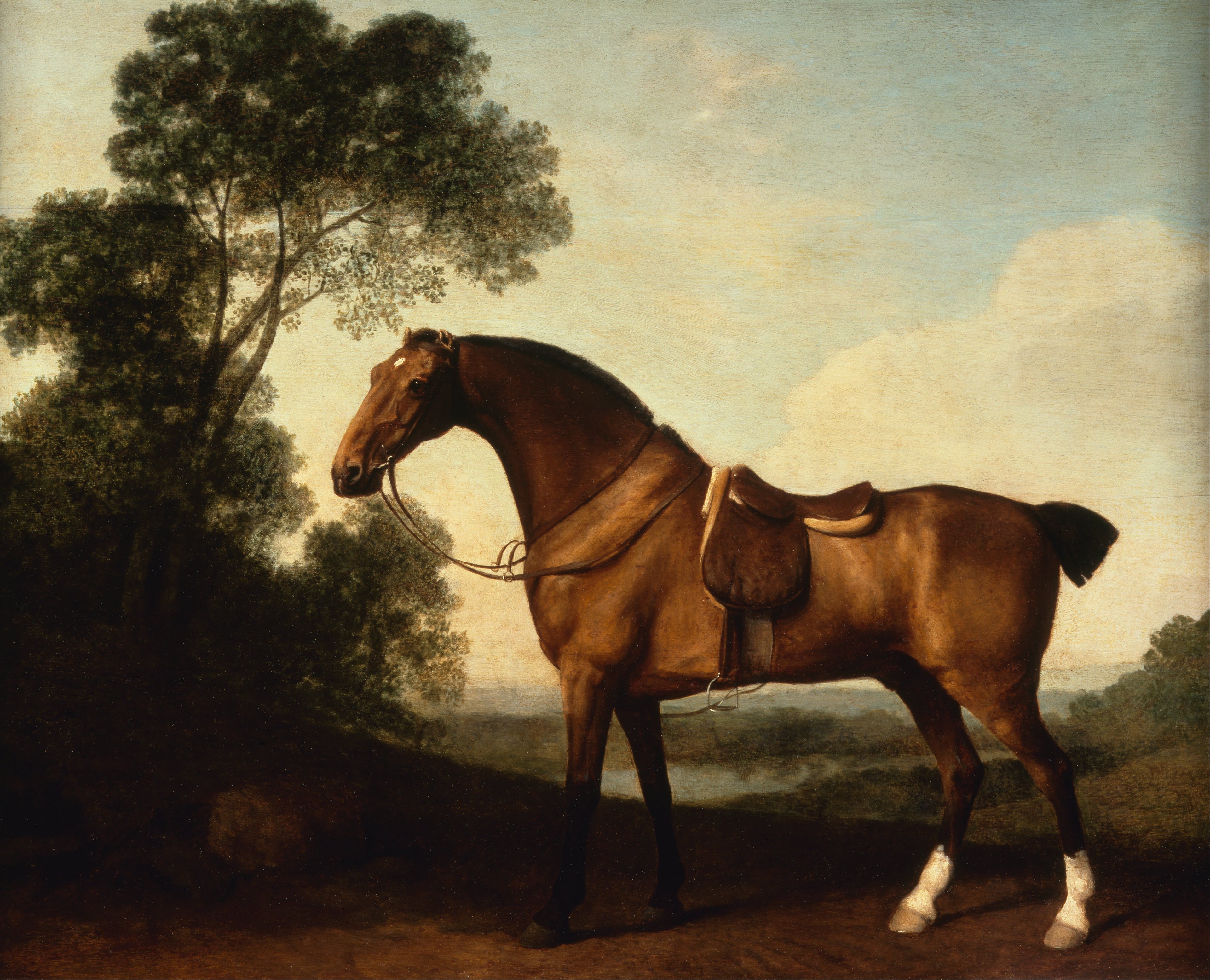 Un chasseur de baie sellé - George Stubbs