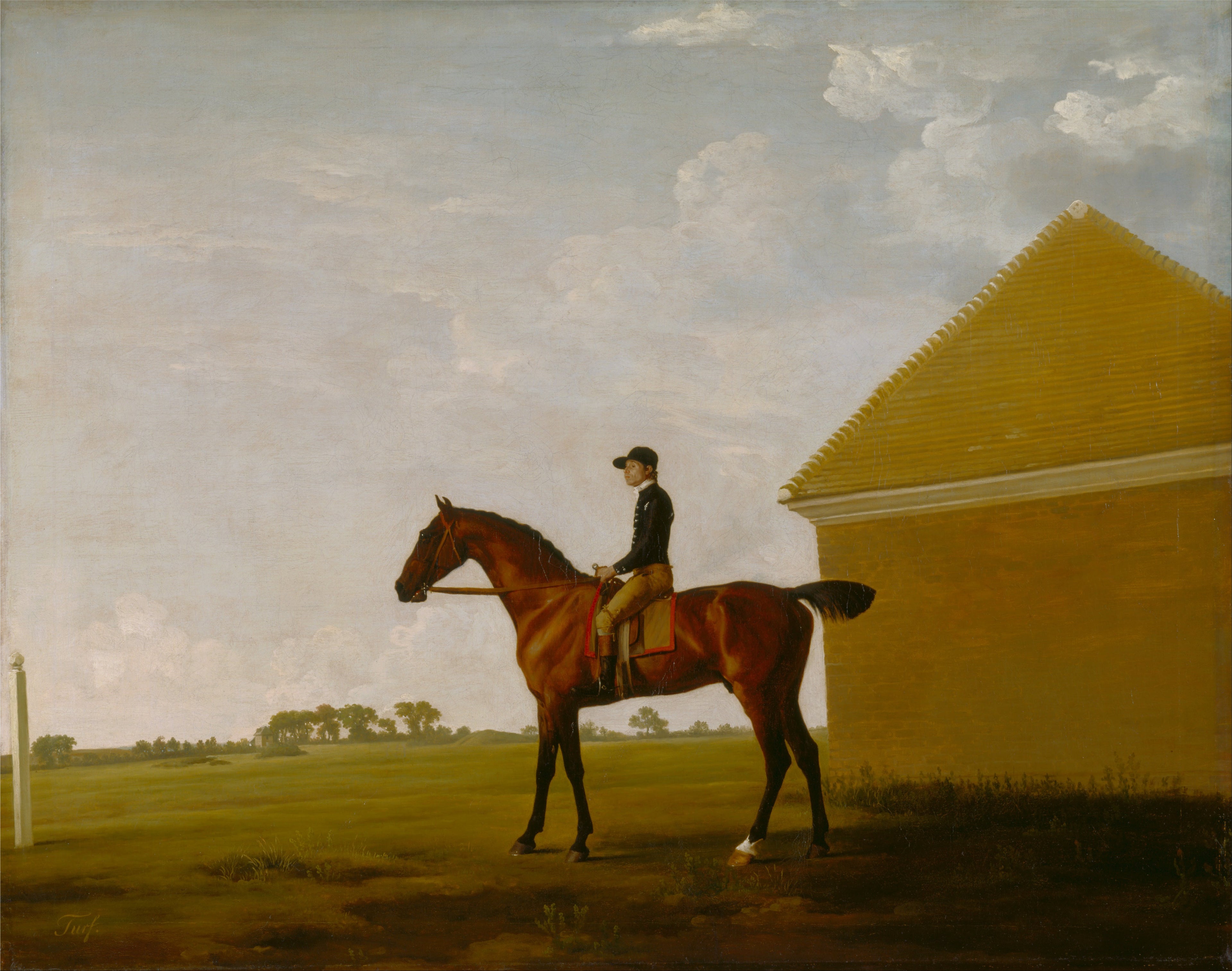 Gazon, avec jockey en place, à Newmarket - George Stubbs