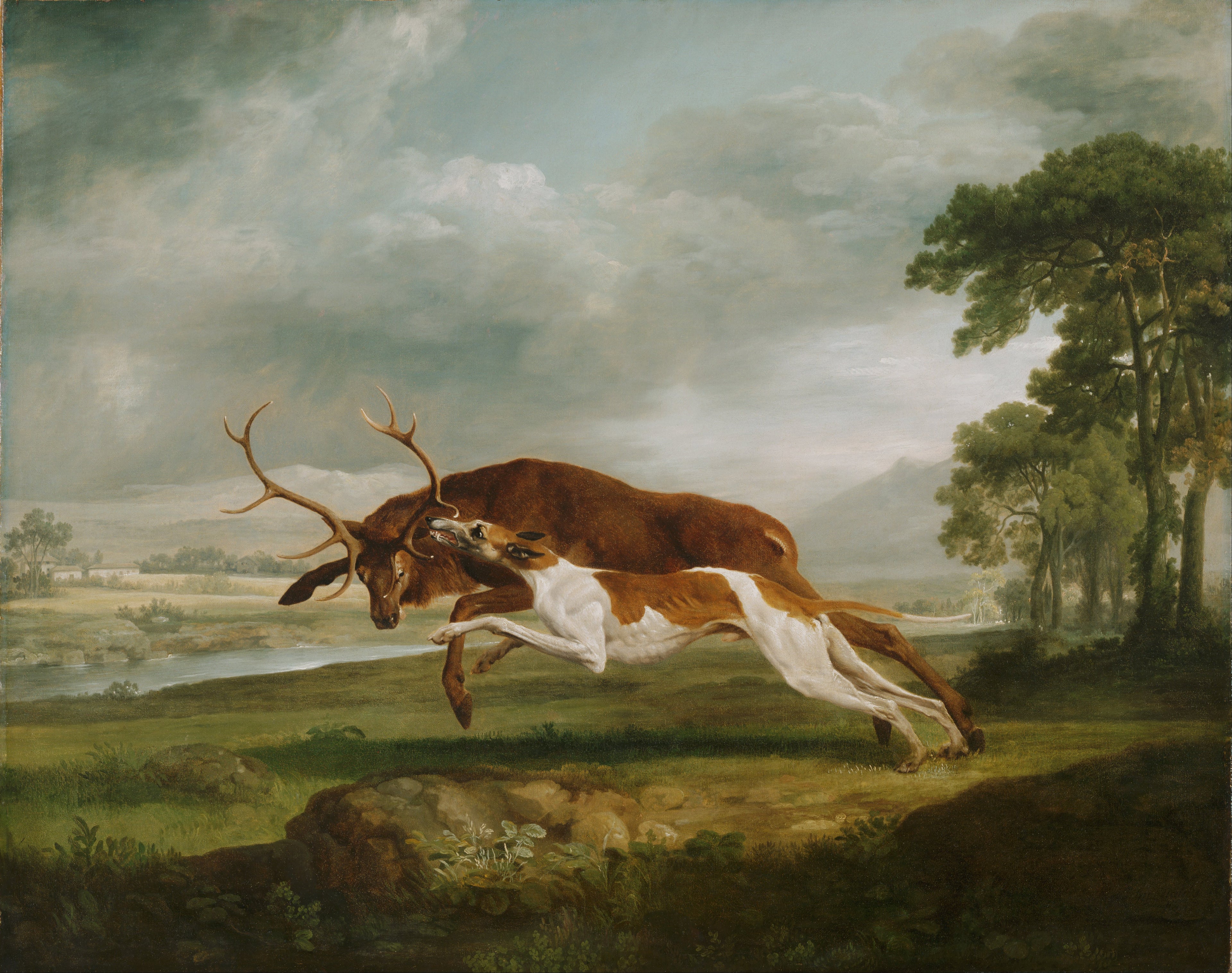 Chien courant à la poursuite d'un cerf - George Stubbs