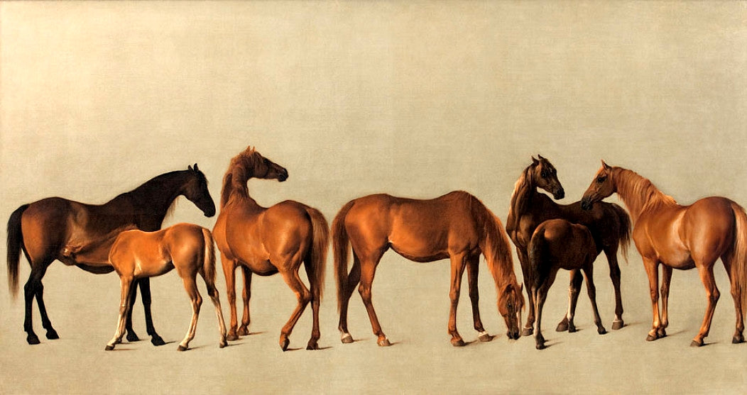 Juments et poulains sans antécédents - George Stubbs