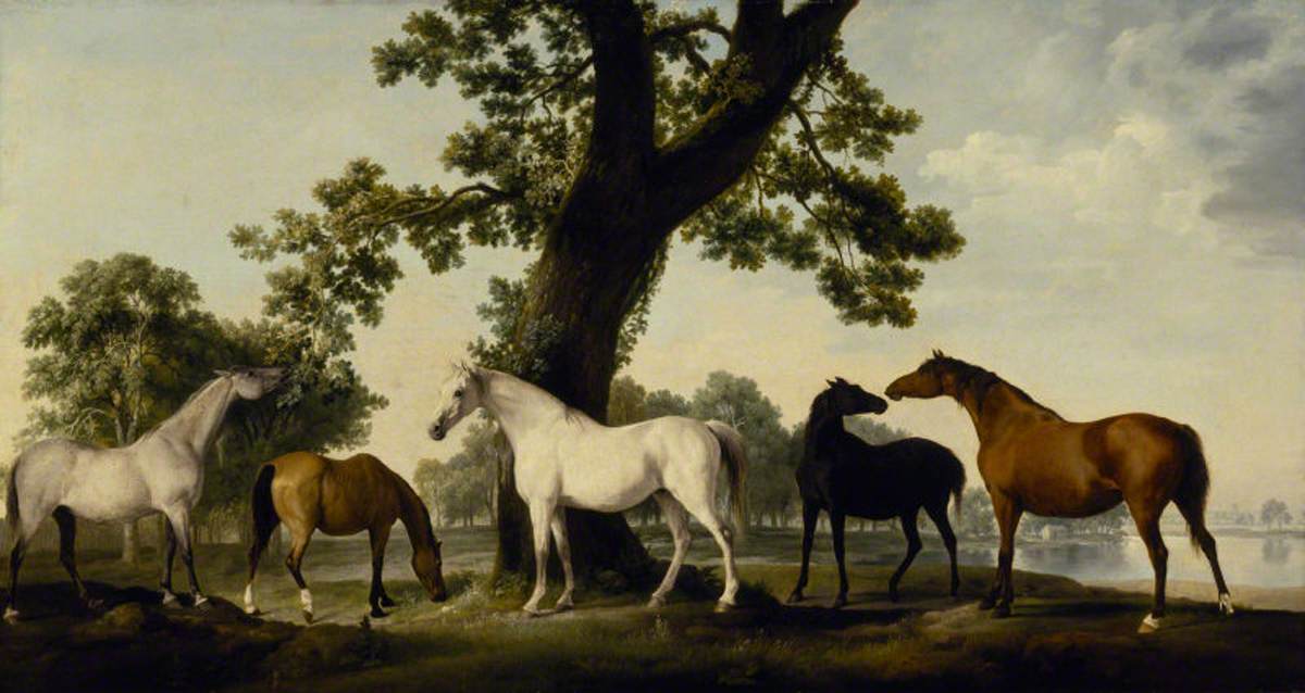 Cinq juments à l'élevage du duc de Cumberland dans le Grand Parc de Windsor - George Stubbs