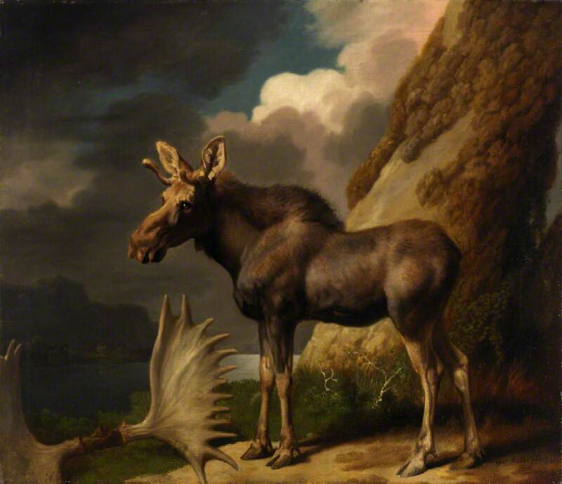 L'élan - George Stubbs