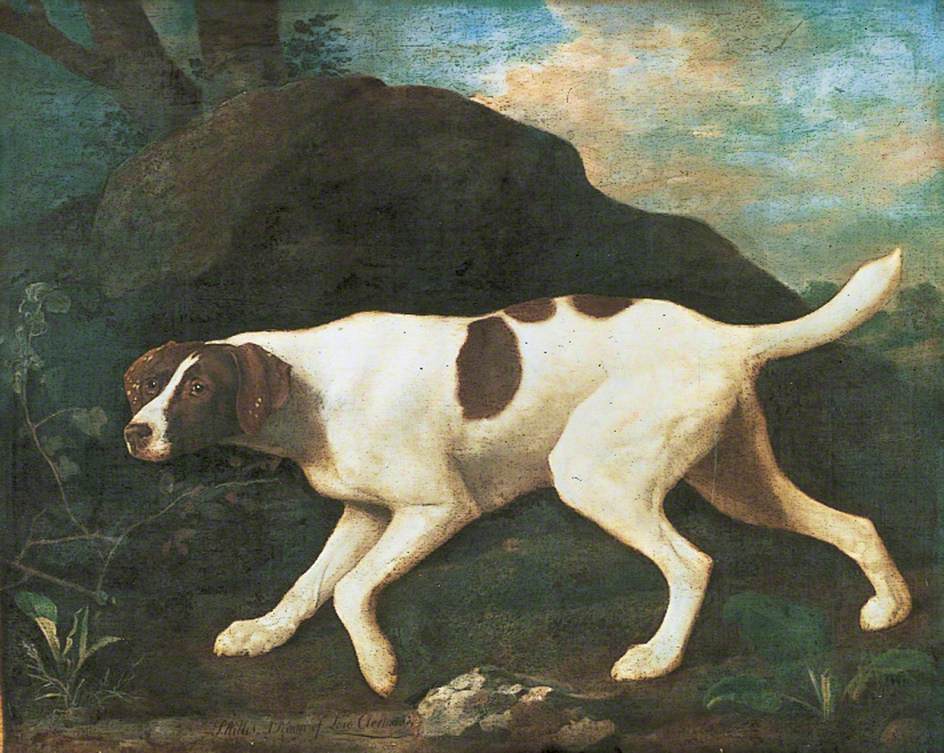 Phillis', un pointeur de Lord Clermont - George Stubbs