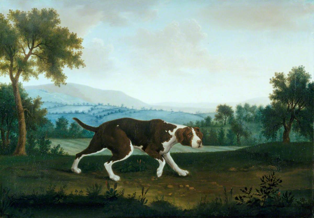 Le pointeur espagnol - George Stubbs