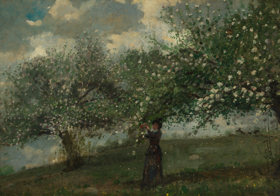 Jeune fille cueillant des fleurs de pommier, peinture de Winslow Homer