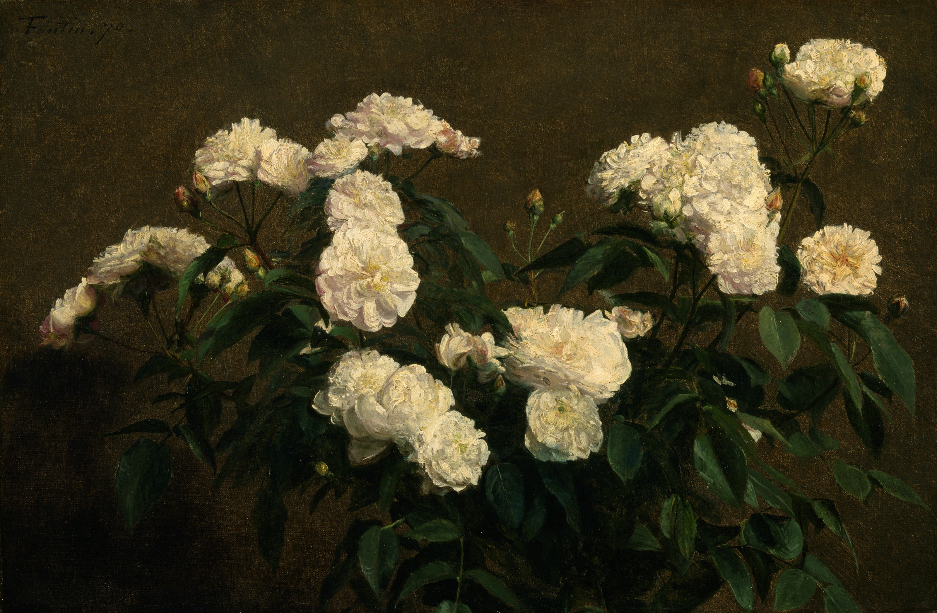 Nature morte aux roses blanches - Henri Fantin-Latour
