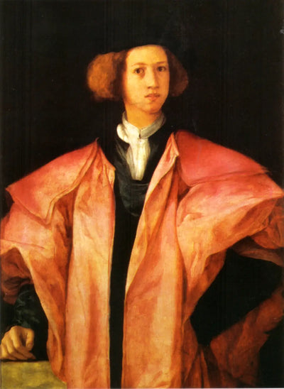 Portrait d’un jeune homme - Pontormo - Alpha Reproduction
