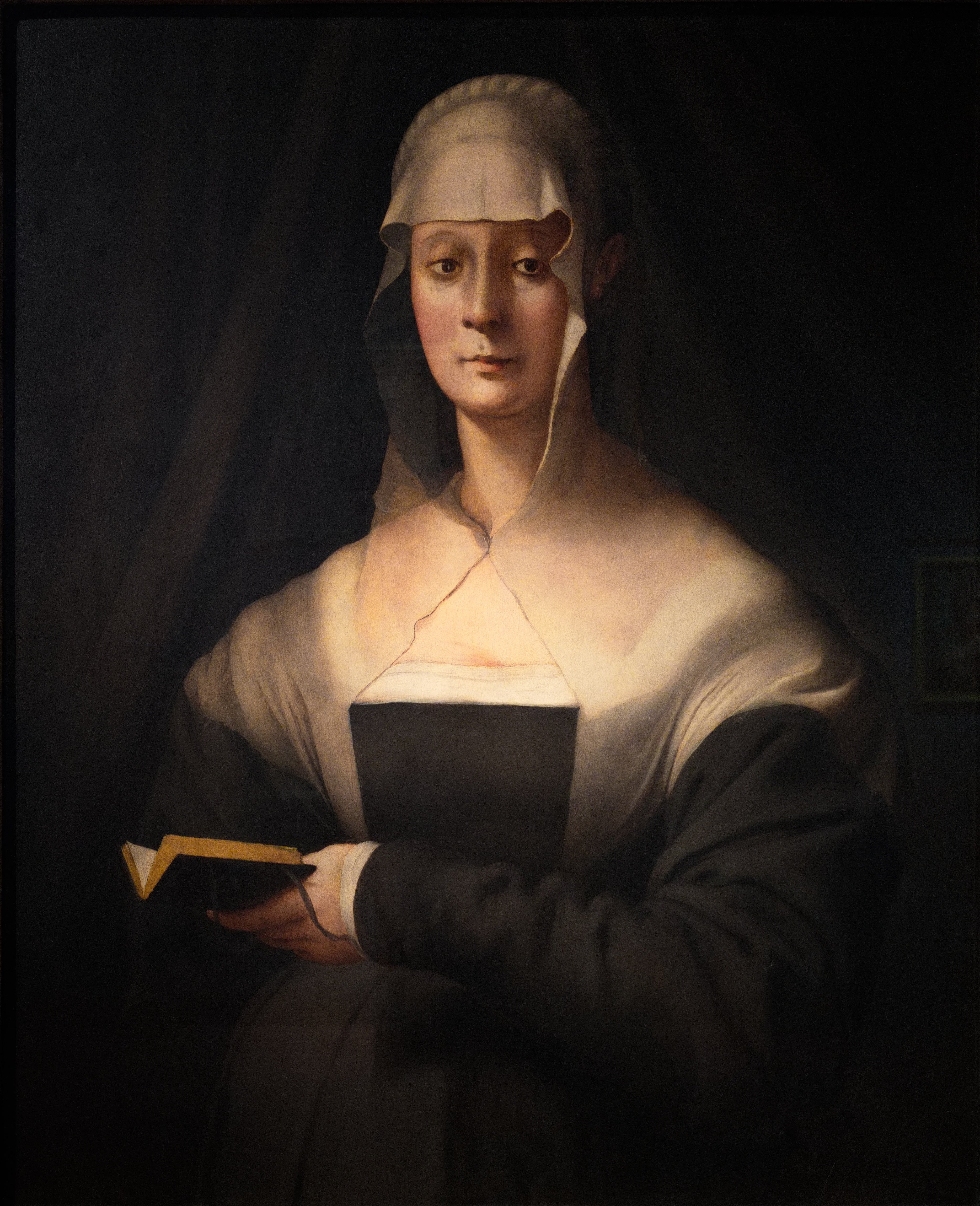 Portrait de Maria Salviati - Pontormo