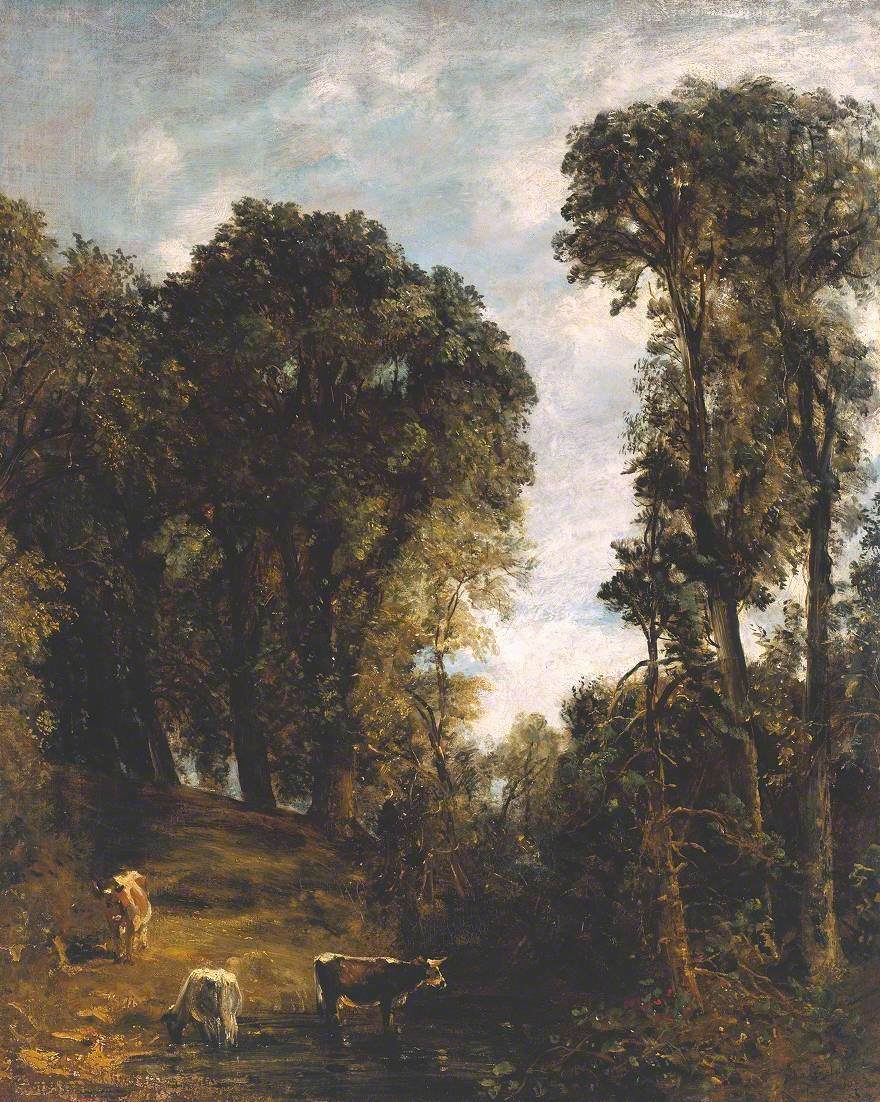 Arbres à Hampstead - John Constable