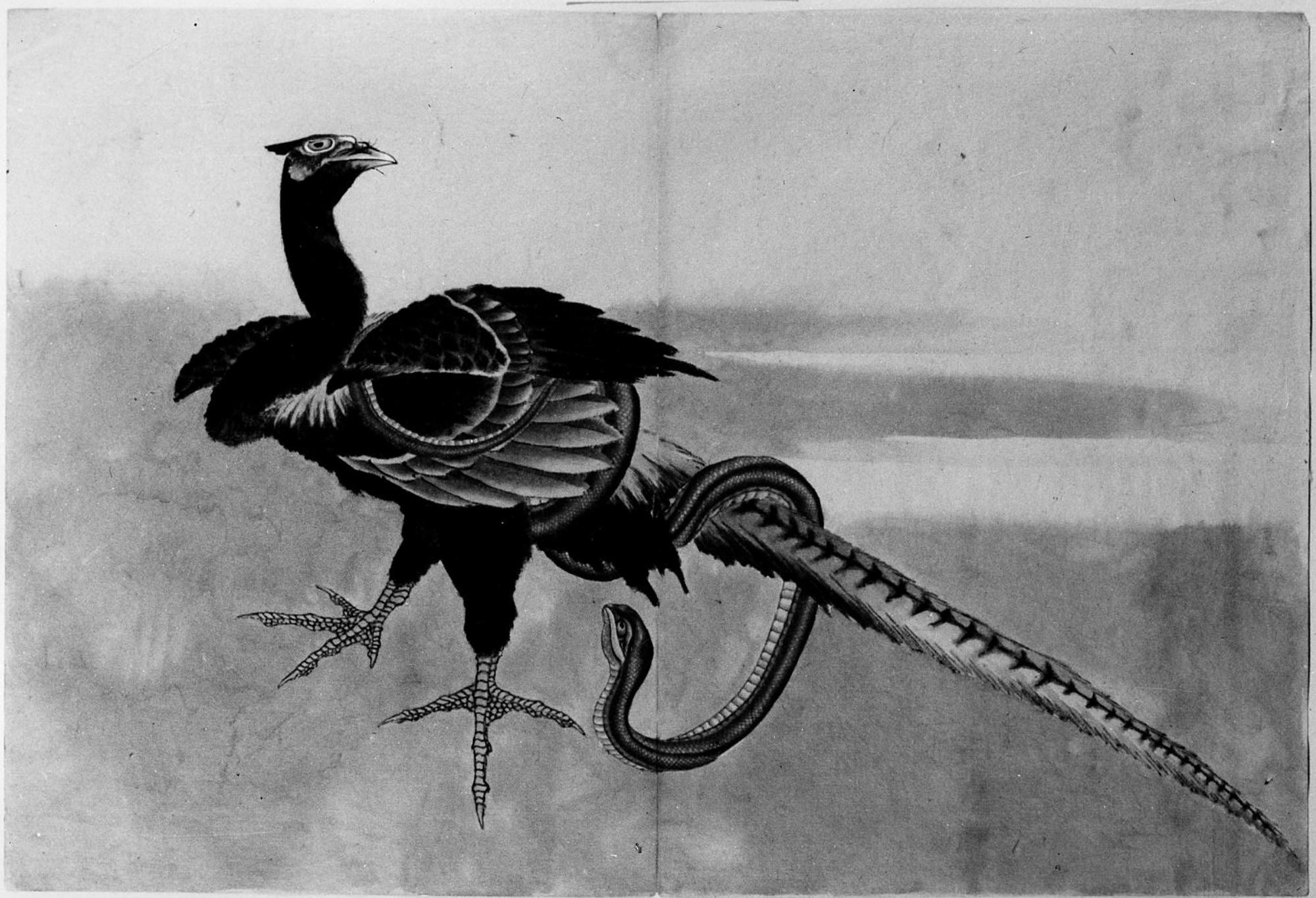 Faisan et serpent - Hokusai