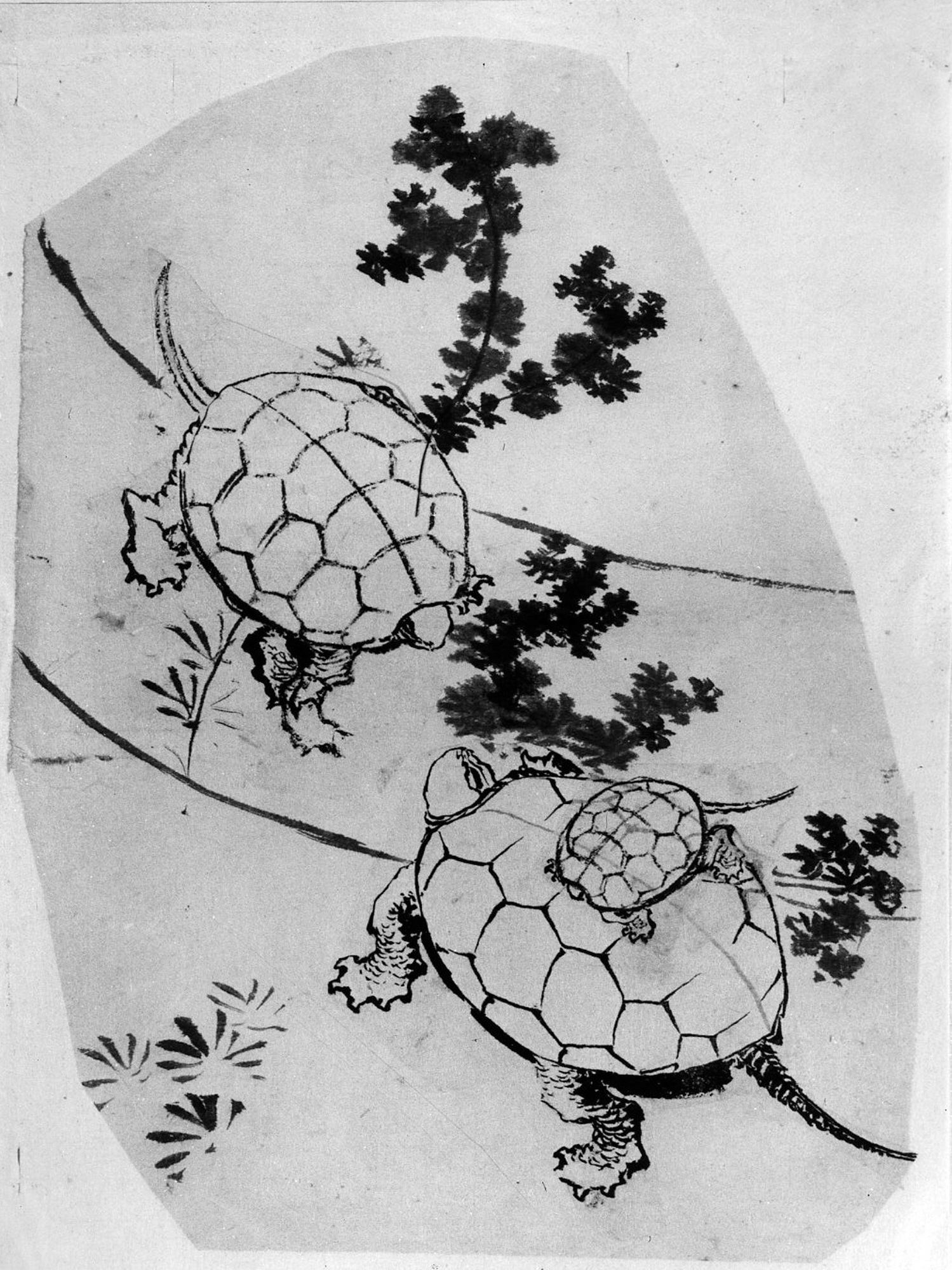 Tortues - Hokusai