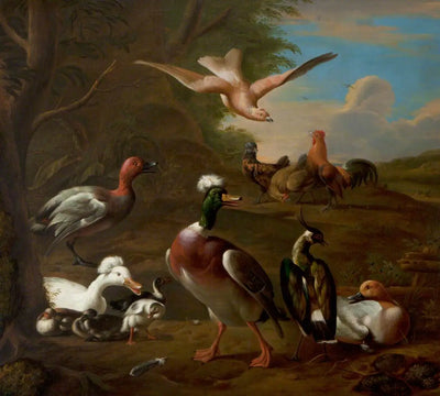 Oiseaux dans un paysage - Melchior de Hondecoeter - Alpha Reproduction