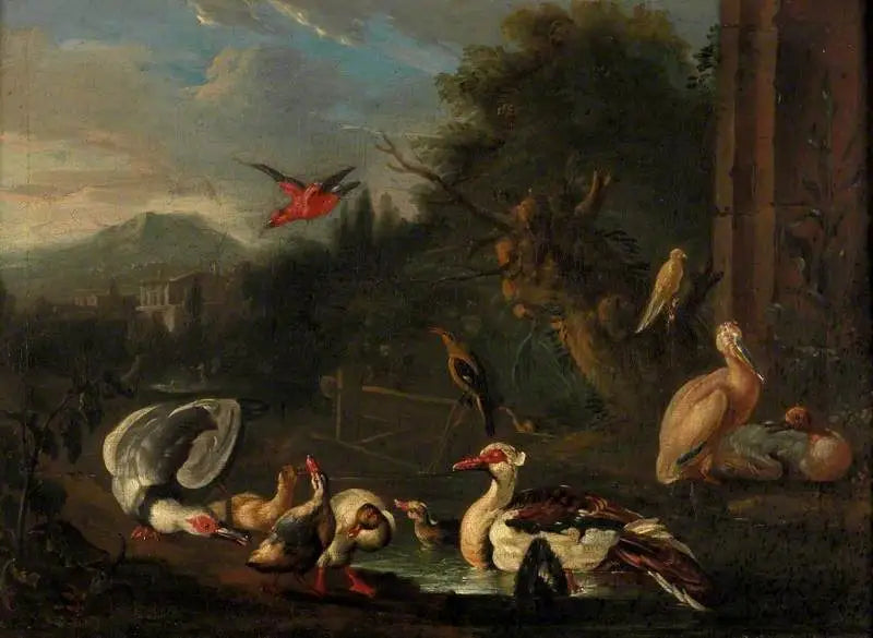 가금류 - 멜키오르 드 온데코터