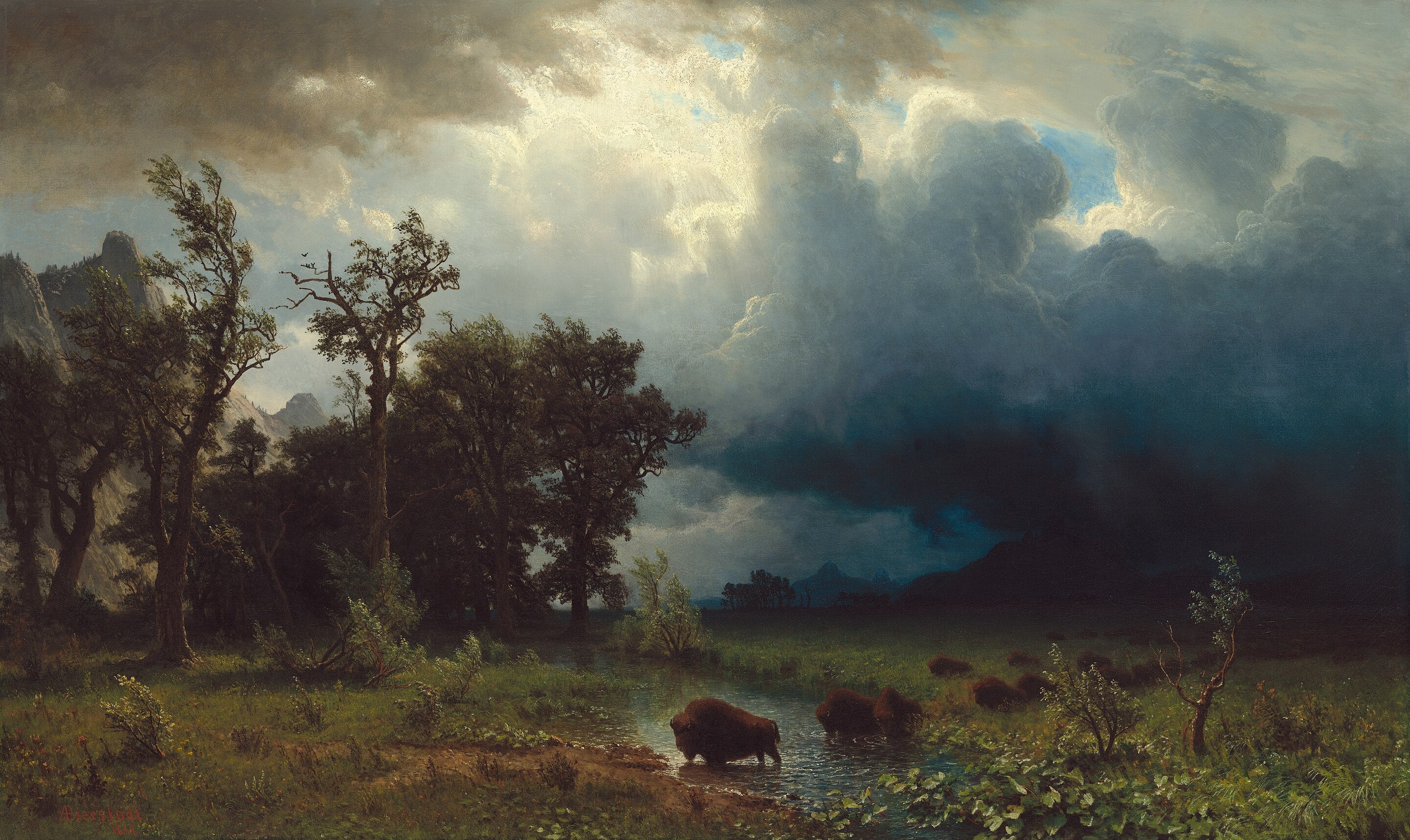 Buffalo Trail : la tempête imminente - Albert Bierstadt