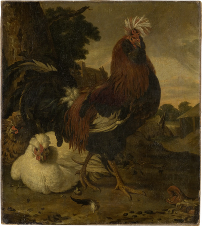 Coq dans une basse-cour - Melchior de Hondecoeter - Alpha Reproduction