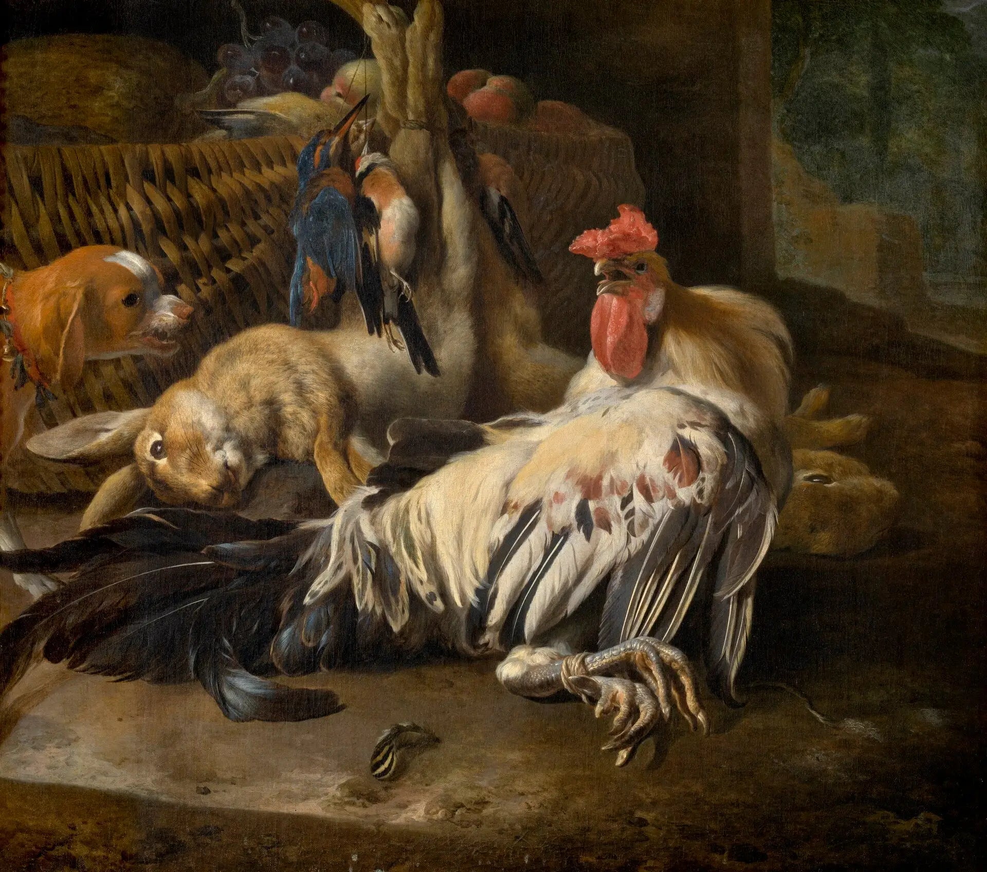 Nature morte avec coq - Melchior de Hondecoeter - Alpha Reproduction