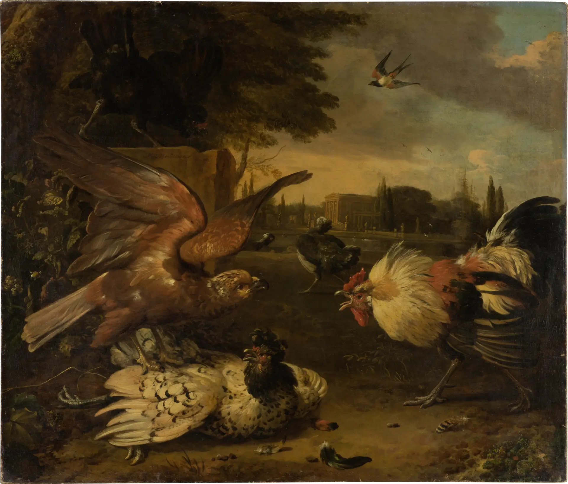 Un coq défend une poule contre un oiseau de proie qui l’attaque - Melchior de Hondecoeter - Alpha Reproduction