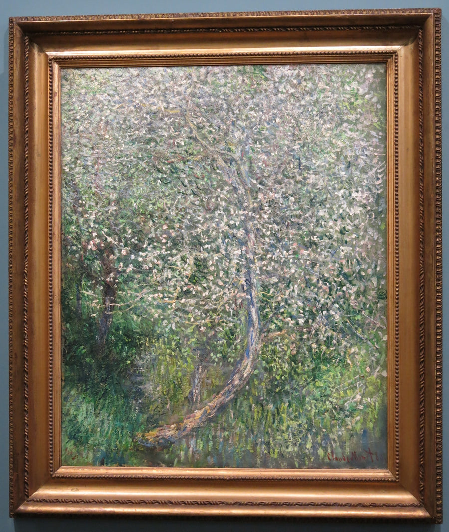 Pommier en fleurs au bord de l'eau, peinture de Claude Monet