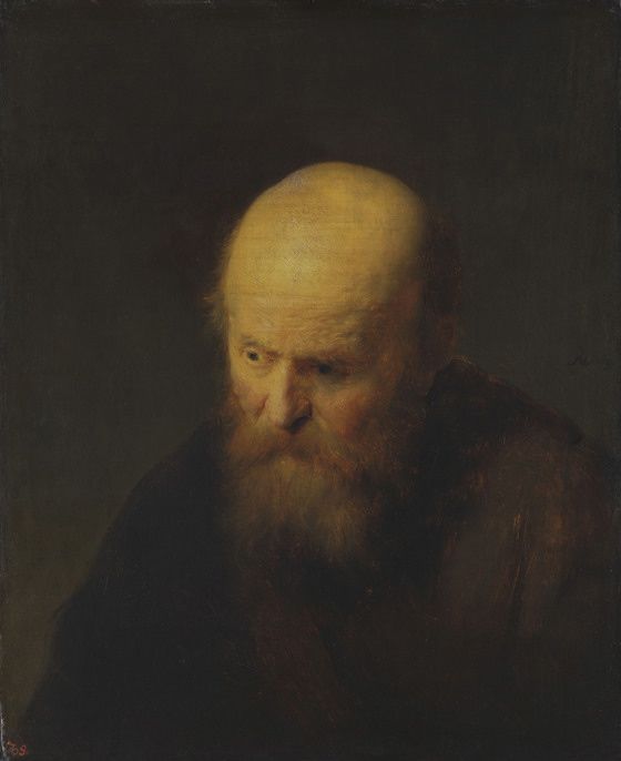 Reproduction du tableau « Buste d'un vieil homme à la tête chauve - Rembrandt » par Alpha Reproduction en peinture à l’huile